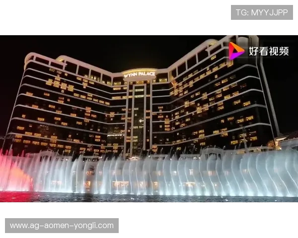 永利皇宫app忘记密码找回流程，安全便捷恢复账户访问权限