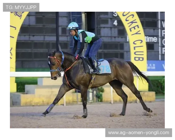 掌握澳门赛马会赛事资讯，获取专业的赛前分析与赛后总结内容