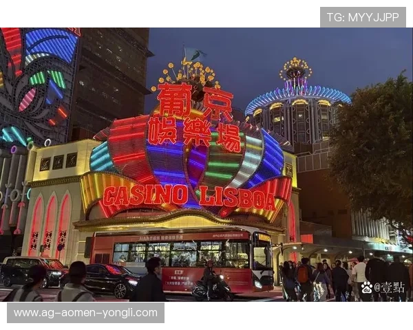 澳门最具影响力的赌场品牌名称及其背后故事，了解澳门博彩业的核心企业