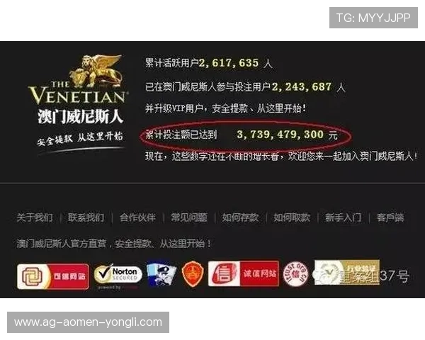 澳门赌场网站评价：全面分析各大平台的信誉与安全性，助你选择最可靠的博彩网站