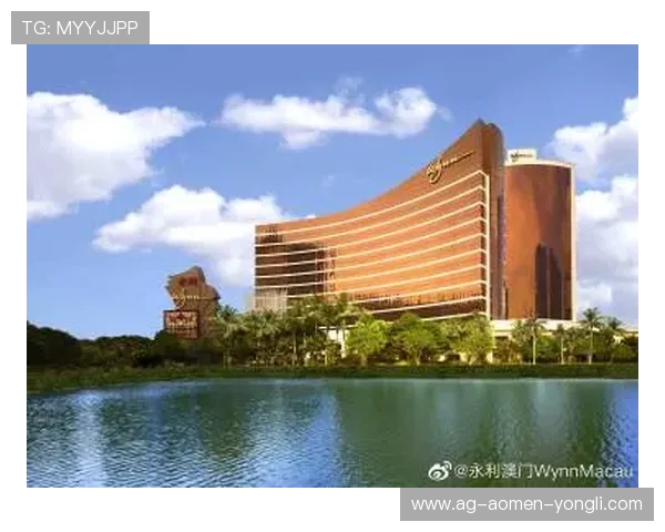 全面解析永利澳门网址大全，帮助用户快速找到官方入口和最新促销活动